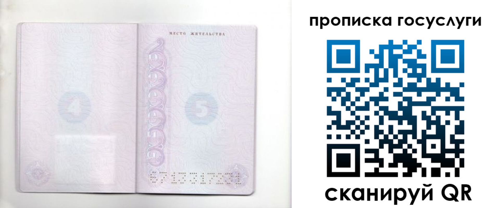 временная регистрация для всех в Кольчугино